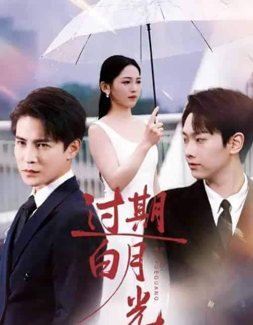 过期白月光(80集全)崔秀子&李子锋-初遇资源网