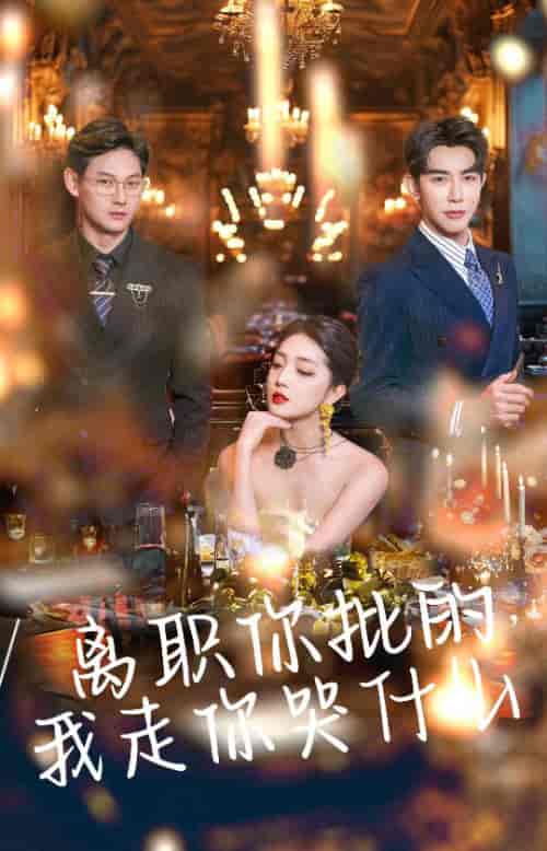 离职你批的我走你哭什么（30集全）马星烁＆赵早儿-初遇资源网