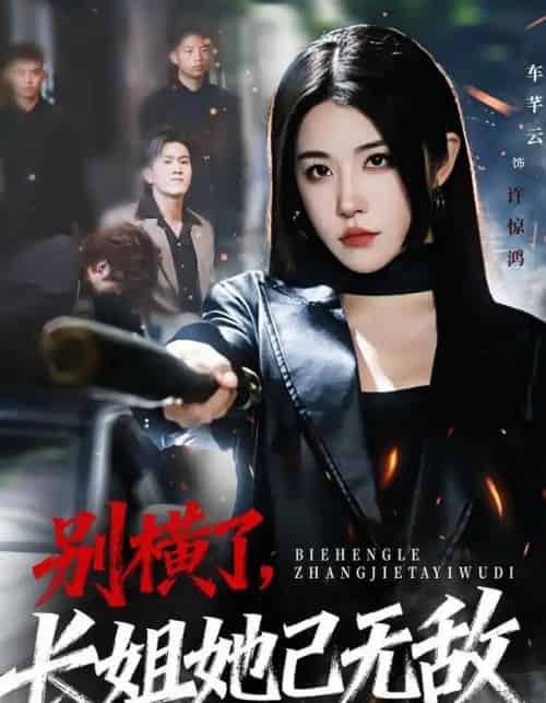 别横了,长姐她已无敌(75集全)李家宝&车芊云&孙启鑫-初遇资源网