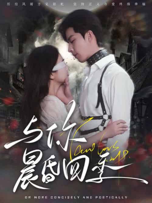 与你晨昏四季(100集全)孙志强&李欣怡-初遇资源网