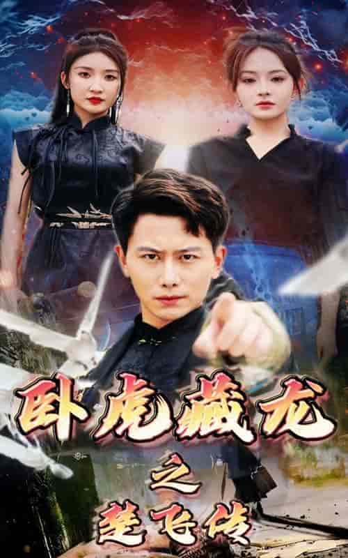 卧虎藏龙之楚飞传（61集全）-初遇资源网