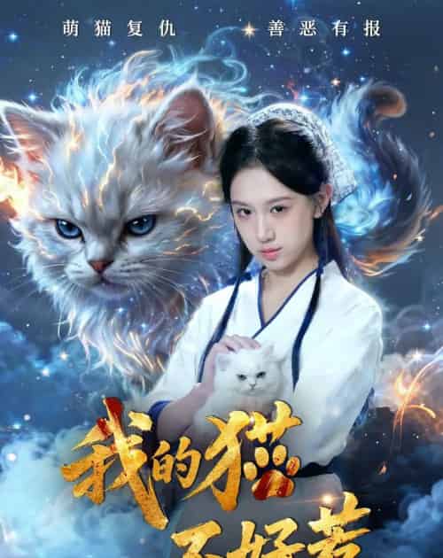 我的猫不好惹(42集全)陈鸿运&江来-初遇资源网