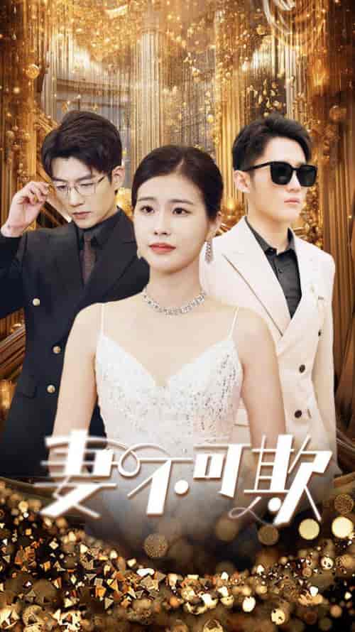 妻无可欺（85集）-初遇资源网