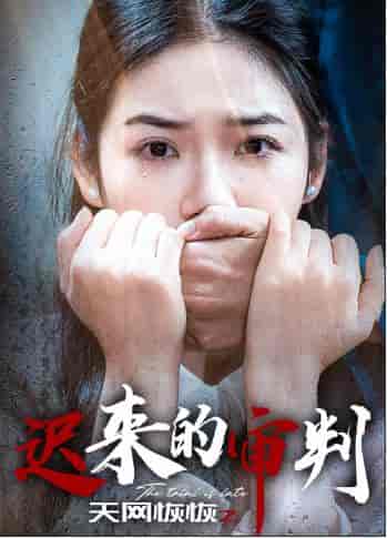 天网恢恢之迟来的审判(31集全)李艺璇-初遇资源网
