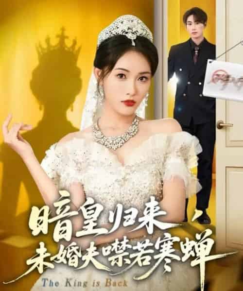 暗皇归来，未婚夫噤若寒蝉（65集全）刘星辰＆王浩-初遇资源网