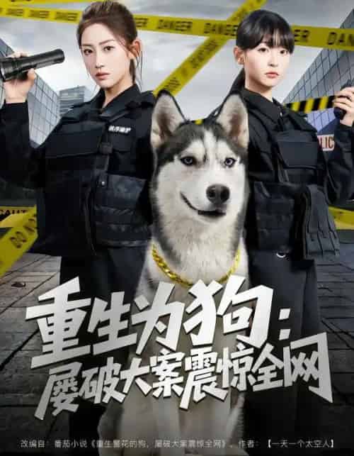 重生为狗：屡破大案震惊全网（80集全）王冰星＆范经明-初遇资源网
