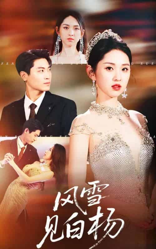 风雪见白杨（93集全）晓渔＆禹麟-初遇资源网