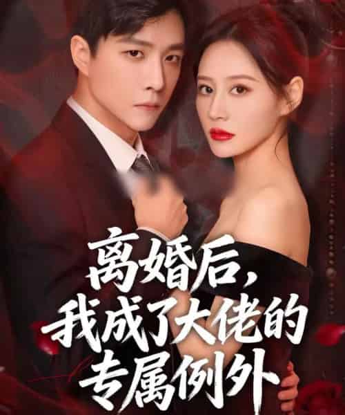 离婚后,我成了大佬的专属例外 离婚后,我成了大佬的专属例外