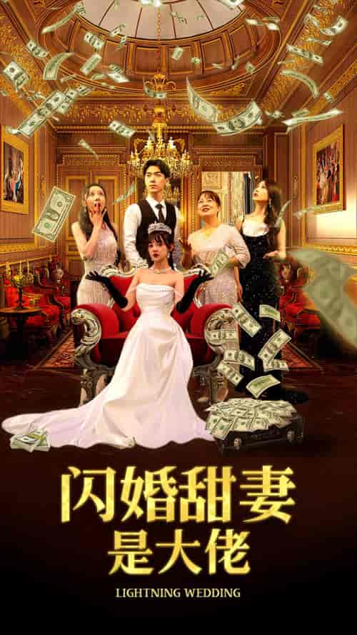 闪婚甜妻是大佬（76集）-初遇资源网