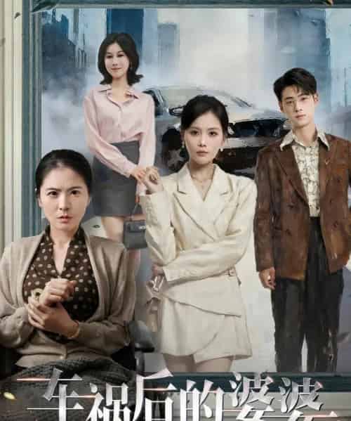 车祸后的婆婆(95集全)武帅康&向云茜&林俊诗-初遇资源网