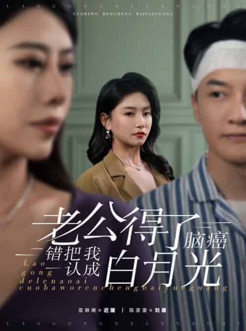 老公得了脑癌错把我认成白月光（30集全）-初遇资源网