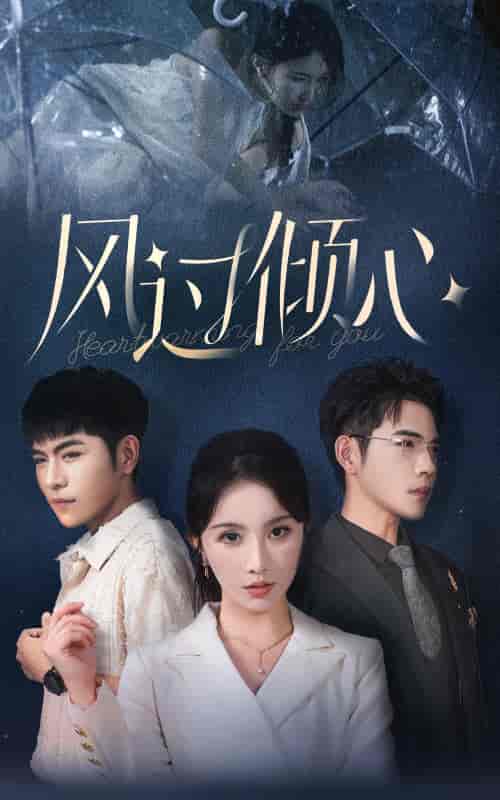 风过倾心（62集全）-初遇资源网