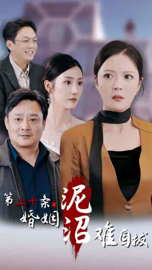 第二十条之婚姻沼泽难自拔(31集全)李明-初遇资源网