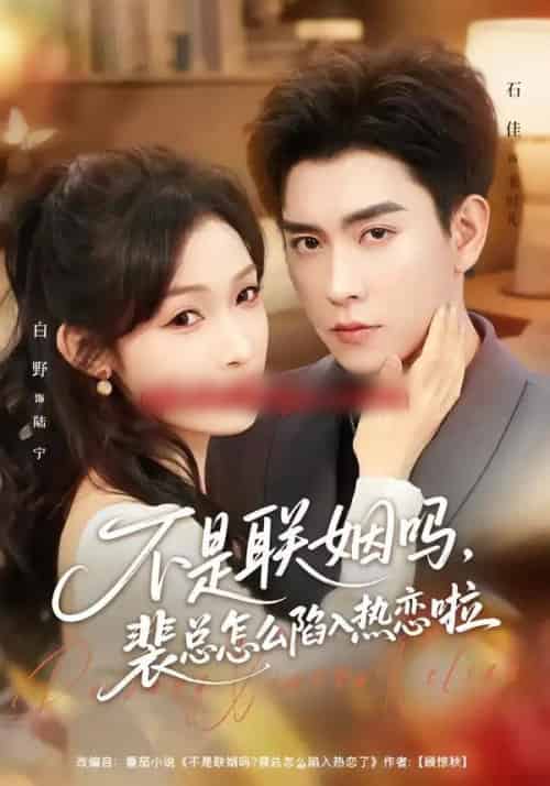 不是联姻吗，裴总怎么陷入热恋啦＆联姻对象是我的死对头（80集全）石佳＆白野-初遇资源网