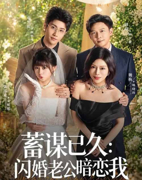 蓄谋已久:闪婚老公暗恋我&我带崽闪婚后怎么老妈也(77集全)童羿琅&张邵禾-初遇资源网