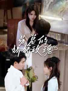 易总的娇娇玫瑰（96集）-初遇资源网