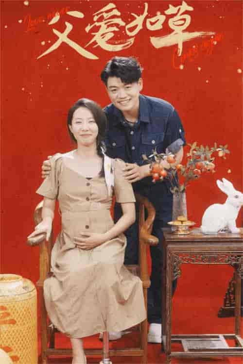 父爱如草（31集）-初遇资源网