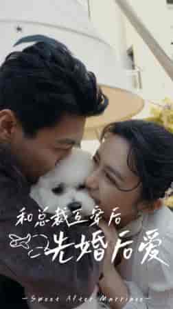 和总裁互穿后先婚后爱（60集）-初遇资源网