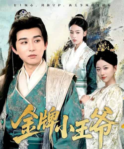 金牌小王爷（80集）潘非佯＆李文瑞-初遇资源网