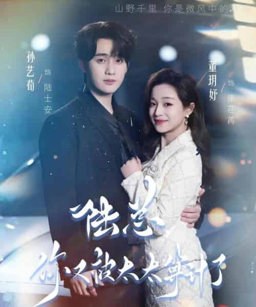 陆总，你又被太太算计了（70集全）孙艺荀＆董玥妤-初遇资源网