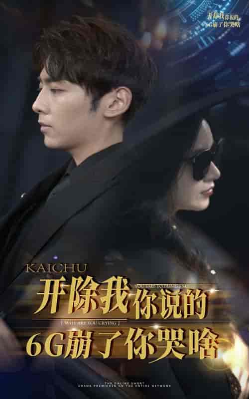 开除我你说的6G崩了你哭啥(49集全)-初遇资源网