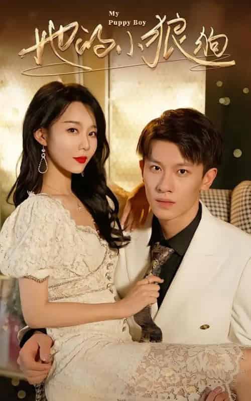 她的小狼狗＆灿烂的风（60集全）冯伊洋＆刘寒羽-初遇资源网