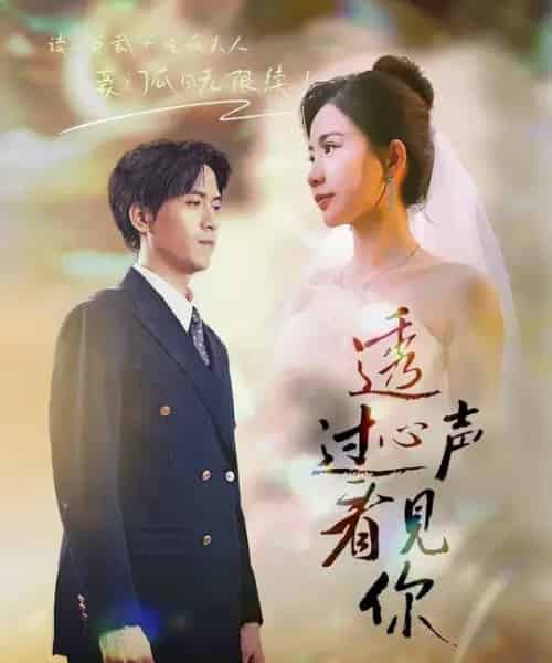 透过心声看见你（70集全）陆路＆维尼-初遇资源网