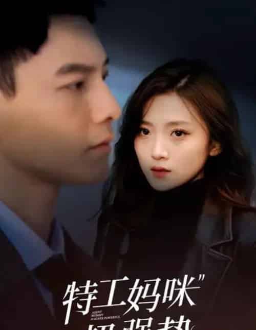 特工妈咪超强势(99集全)冯铭潮&于金金-初遇资源网