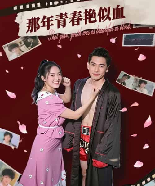 那年青春艳似血 共59集-初遇资源网