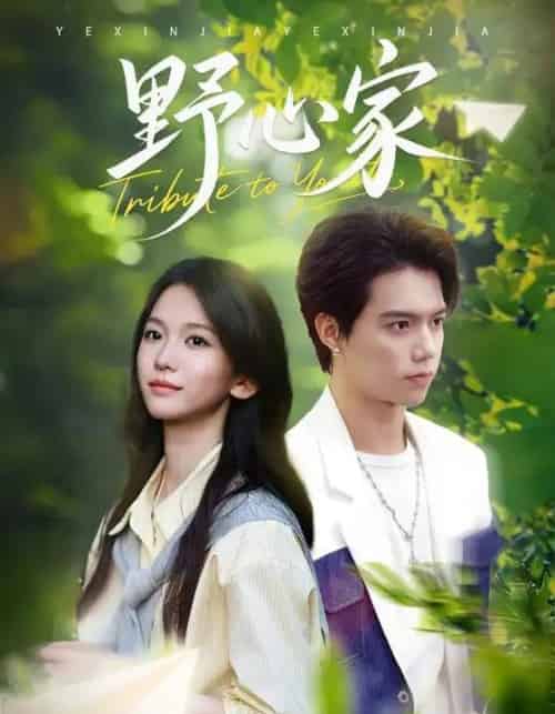 野心家（65集全）尤洋-初遇资源网