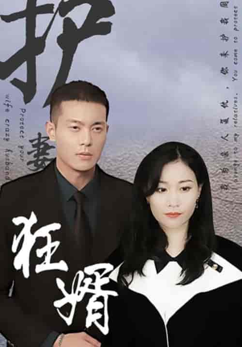 护妻狂婿（100集全）霍启晟＆林欣妍-初遇资源网
