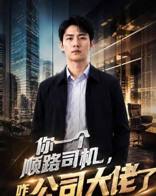 你一个顺路司机，咋成公司大佬了（30集全）AI-初遇资源网