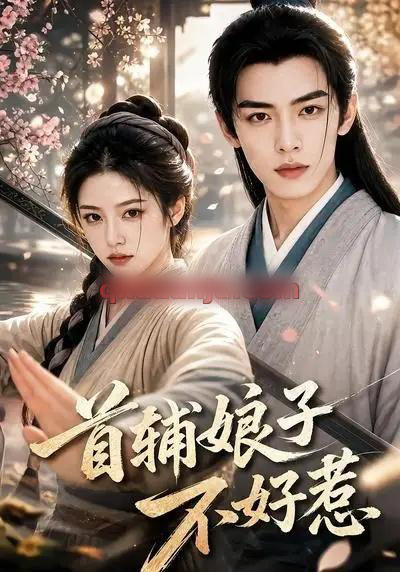 首辅娘子不好惹（156集全）AI短剧-初遇资源网