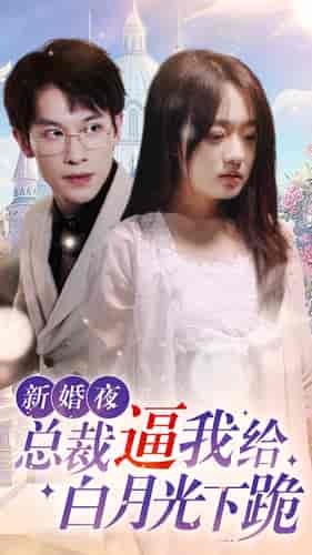 新婚夜，总裁逼我给白月光下跪（102集）-初遇资源网