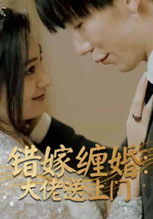 错嫁缠婚:大佬送上门(80集)厉夜霆&苏清浅-初遇资源网