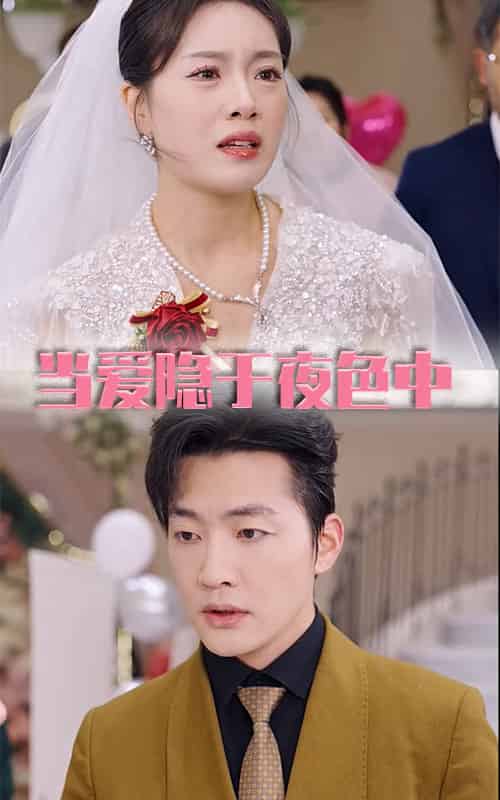 当爱隐于夜色中（37集全）张子唯 - 夸克短剧