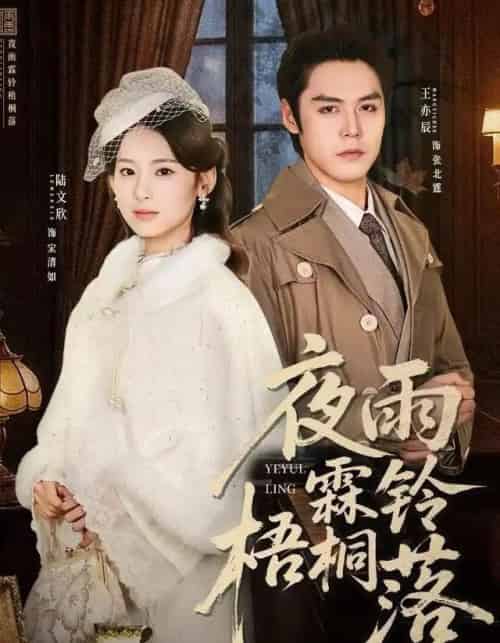 夜雨霖铃梧桐落＆烽火错爱（51集全）王亦辰＆陆文欣-初遇资源网