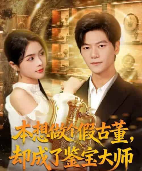 本想做个假古董，却成了鉴宝大师（80集全）刘瀚阳＆刘彦君-初遇资源网
