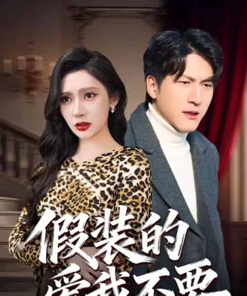 假装的爱我不要（44集全）王安忆＆李恒臻-初遇资源网