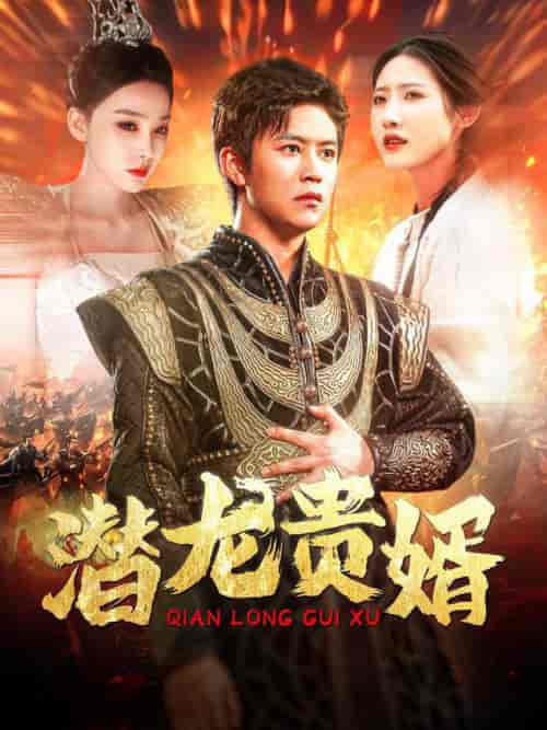 潜龙贵婿（89集全）-初遇资源网