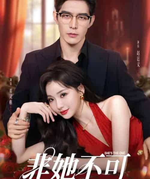 非她不可（88集）赵廷义＆邓灵枢-初遇资源网