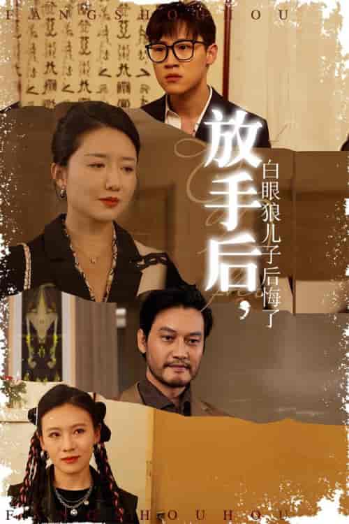 放手后，白眼狼儿子后悔了（54集全）-初遇资源网
