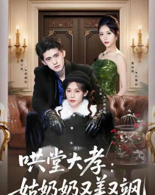 哄堂大孝：姑奶奶又美又飒（60集全）方梨＆谭子宣＆史小强 - 夸克短剧