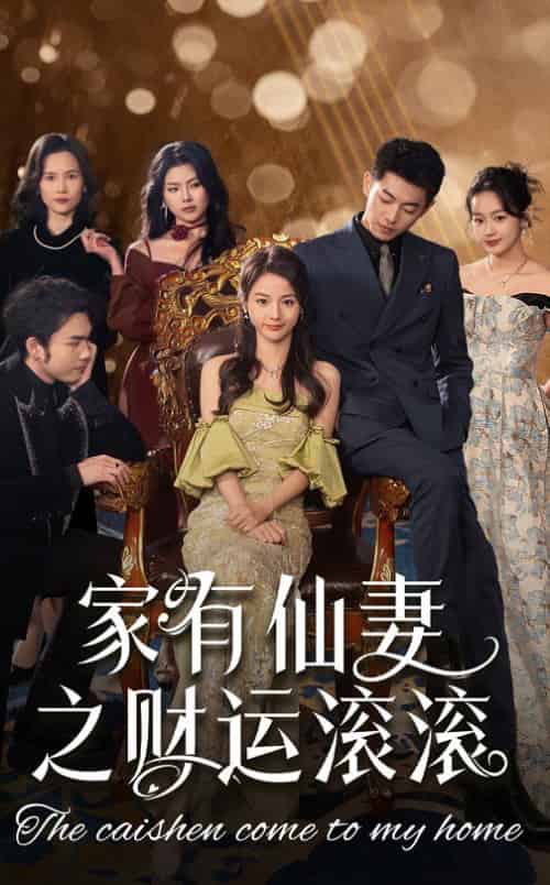 家有仙妻之财运滚滚(62集全)李泉成&马倩倩-初遇资源网