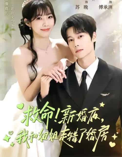救命！新婚夜，我和姐姐走错了婚房（58集全）盛一辰＆赵偲佟-初遇资源网