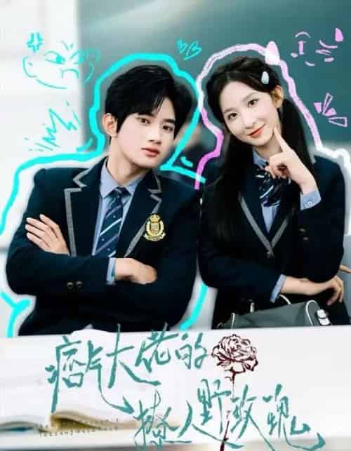痞气大佬的撩人野玫瑰(80集全)李悦暄&王浩宇-初遇资源网