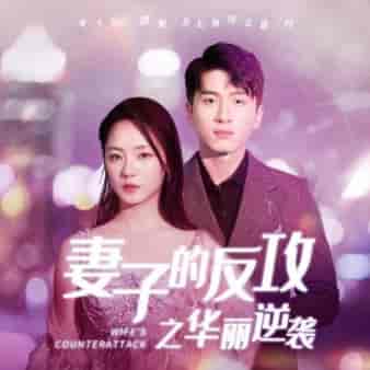 妻子的反攻之华丽逆袭（30集全）-初遇资源网