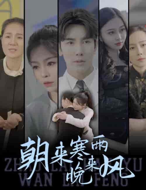 朝来寒雨晚来风(87集)-初遇资源网