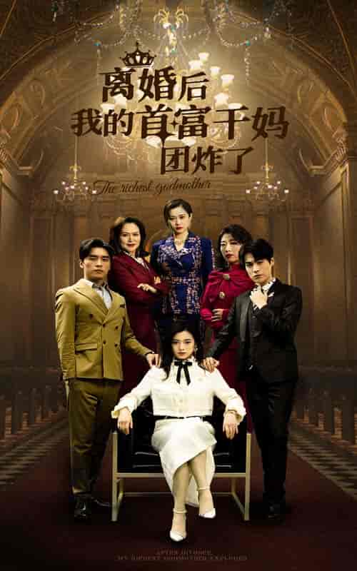 离婚后我的首富干妈团炸了（99集）-初遇资源网