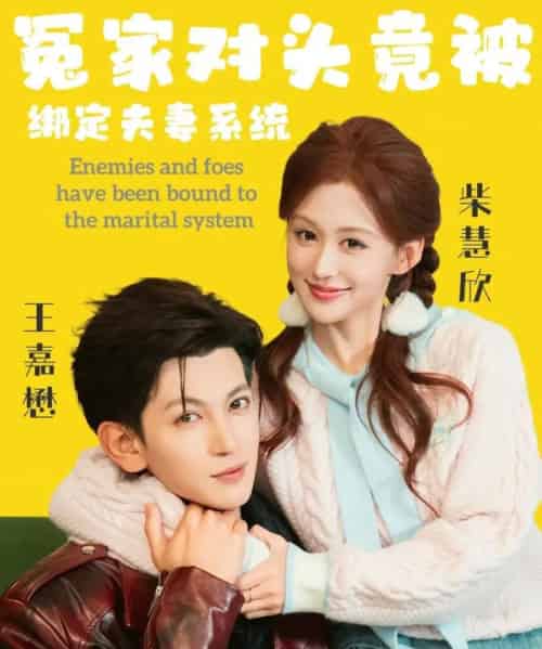 冤家对头竟被绑定夫妻系统（80集全）王嘉懋＆柴慧欣-初遇资源网